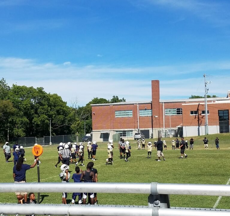 Soccer Field image 2