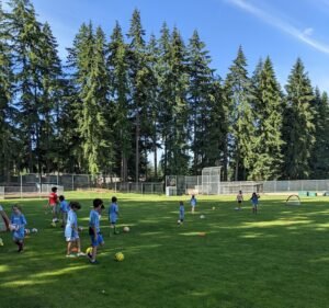 Soccer Field image 2