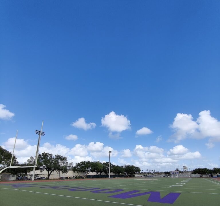 Soccer Field image 2