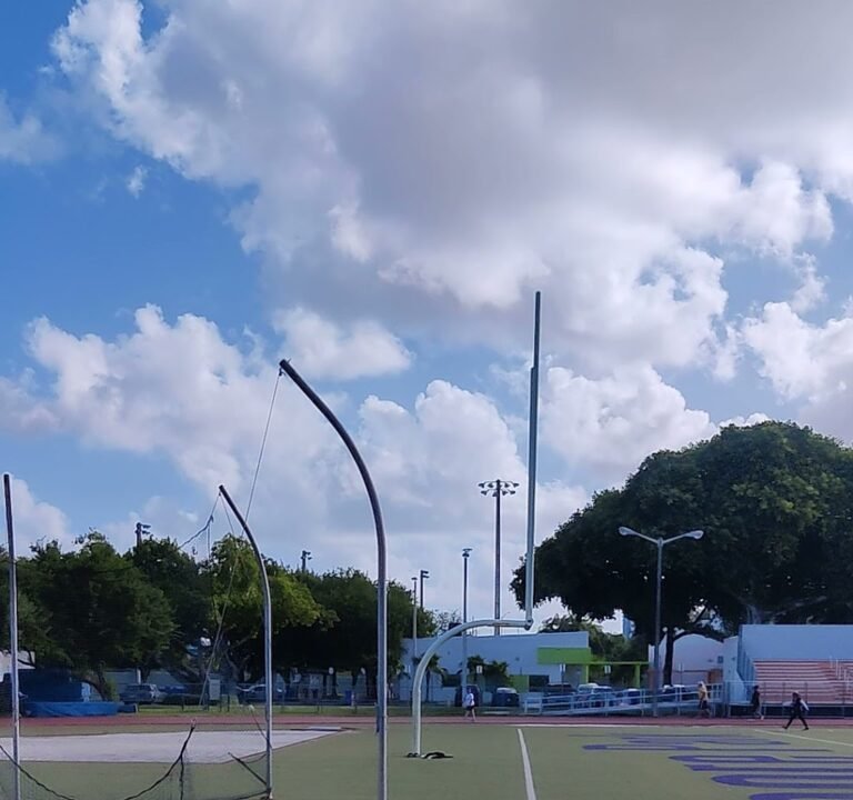 Soccer Field image 4