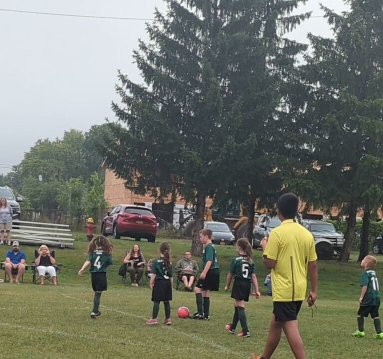 Soccer Field image 4