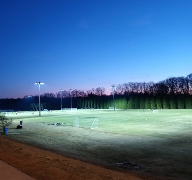 Soccer Field image 2