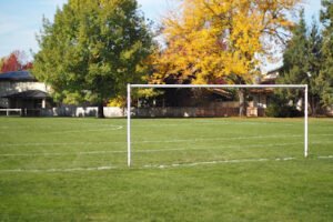 Soccer Field image 1