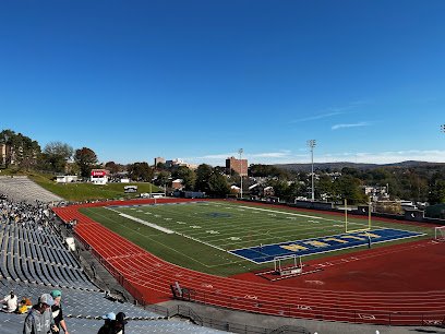 Soccer Field image 1