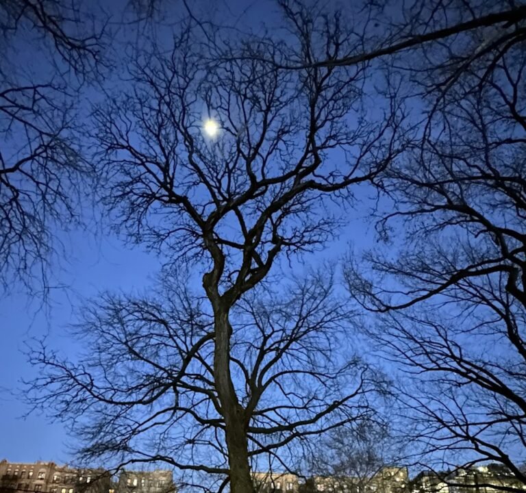 Soccer Field image 2