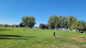 Soccer Field image 1