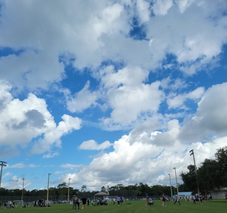 Soccer Field image 2