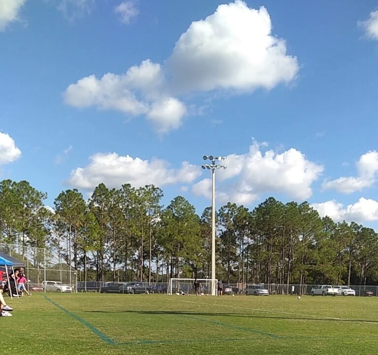 Soccer Field image 4