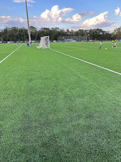 Soccer Field image 1