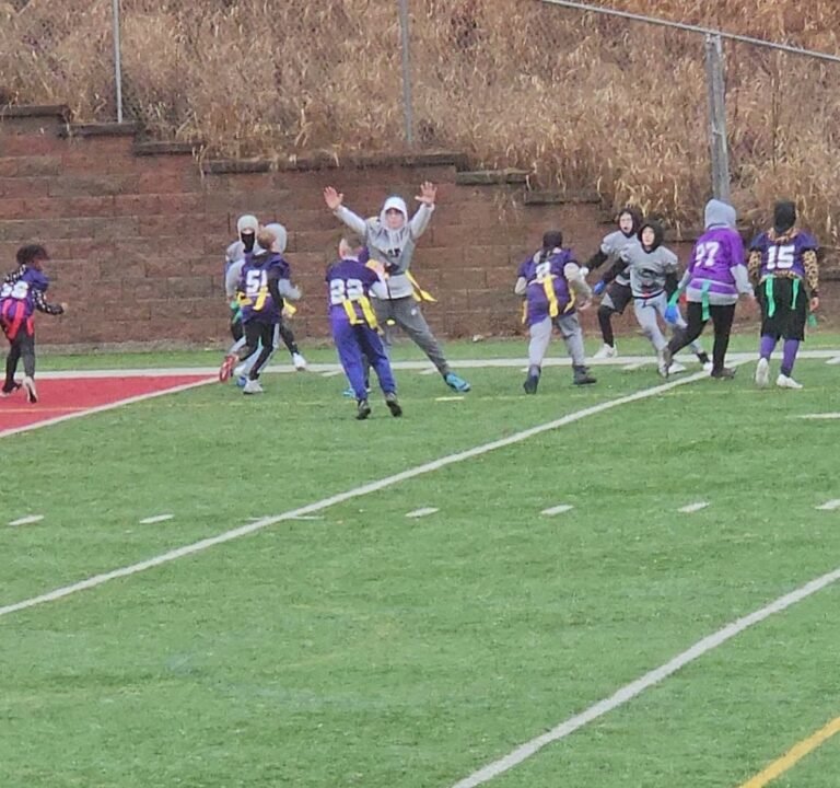 Soccer Field image 3