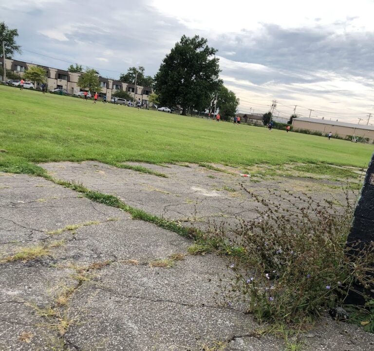 Soccer Field image 3