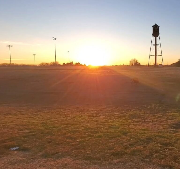 Soccer Field image 3
