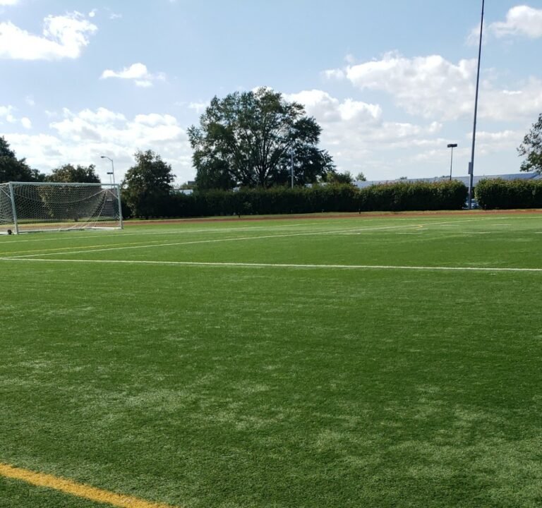Soccer Field image 2