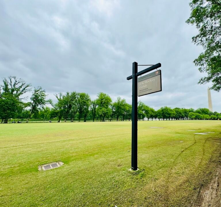 Soccer Field image 2