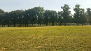 Soccer Field image 1