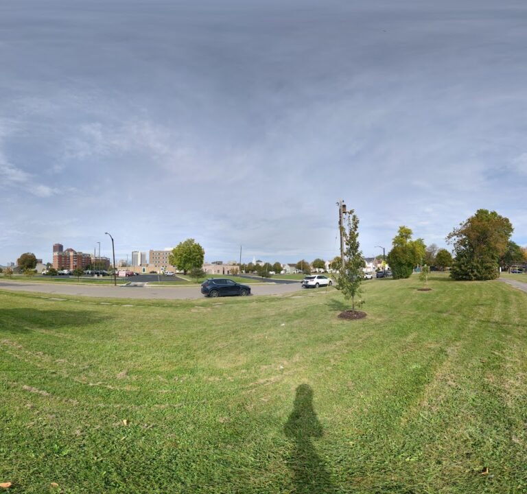 Soccer Field image 3