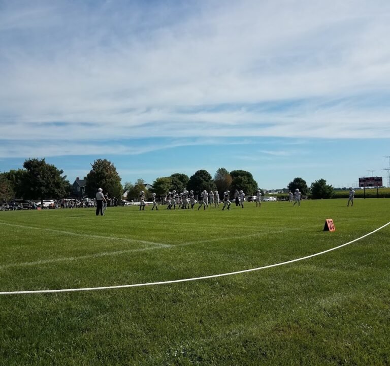 Soccer Field image 3