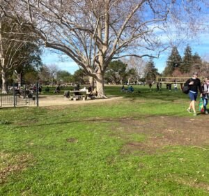 Soccer Field image 2