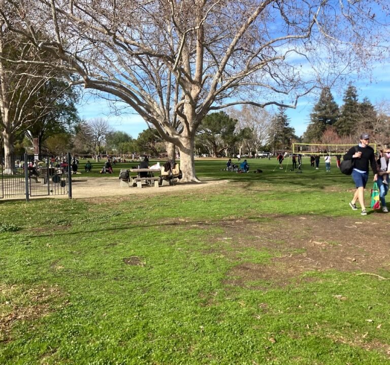 Soccer Field image 2