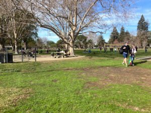 Soccer Field image 1