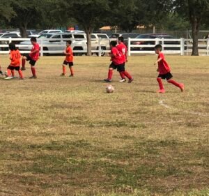 Soccer Field image 2