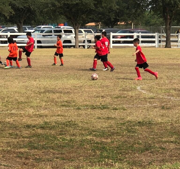 Soccer Field image 2