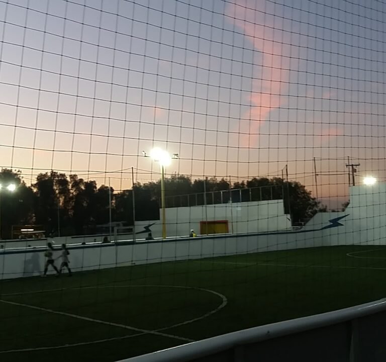 Soccer Field image 2