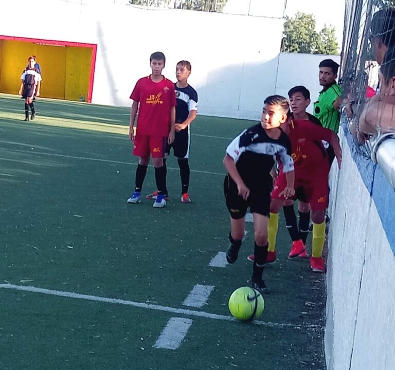 Soccer Field image 3