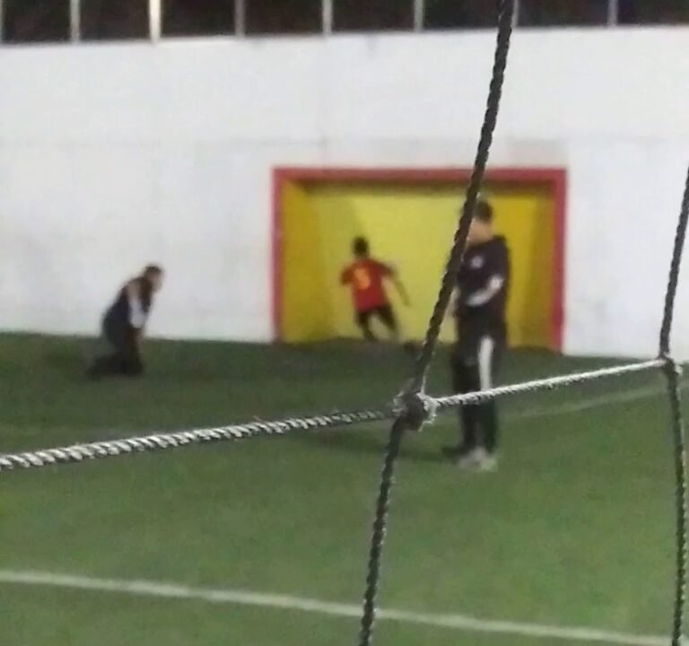 Soccer Field image 4