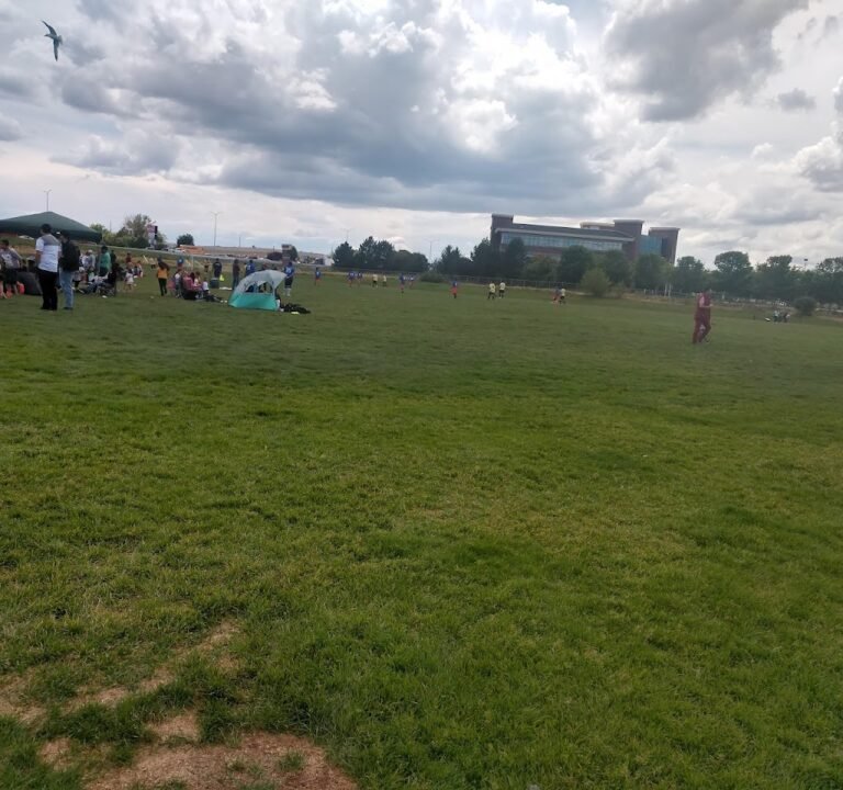 Soccer Field image 2