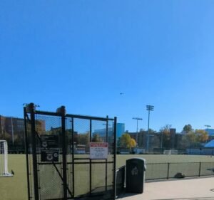 Soccer Field image 3