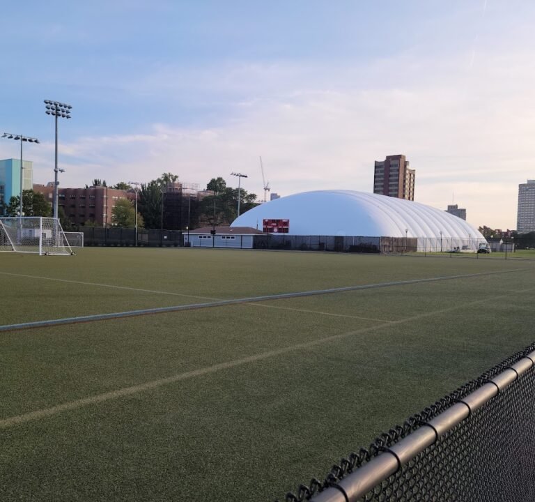 Soccer Field image 2