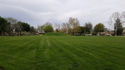 Soccer Field image 1