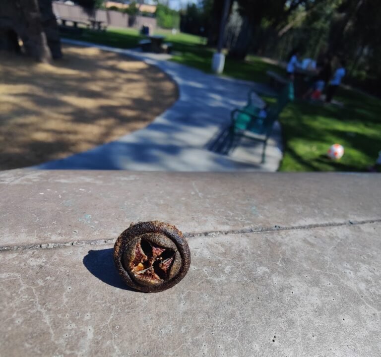 Soccer Field image 3