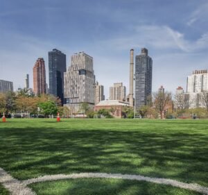 Soccer Field image 2