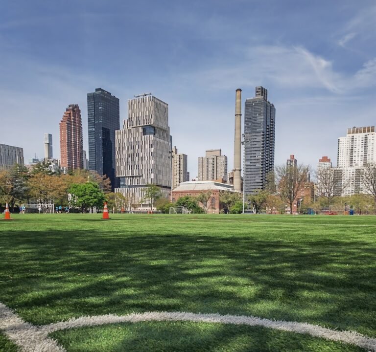 Soccer Field image 2