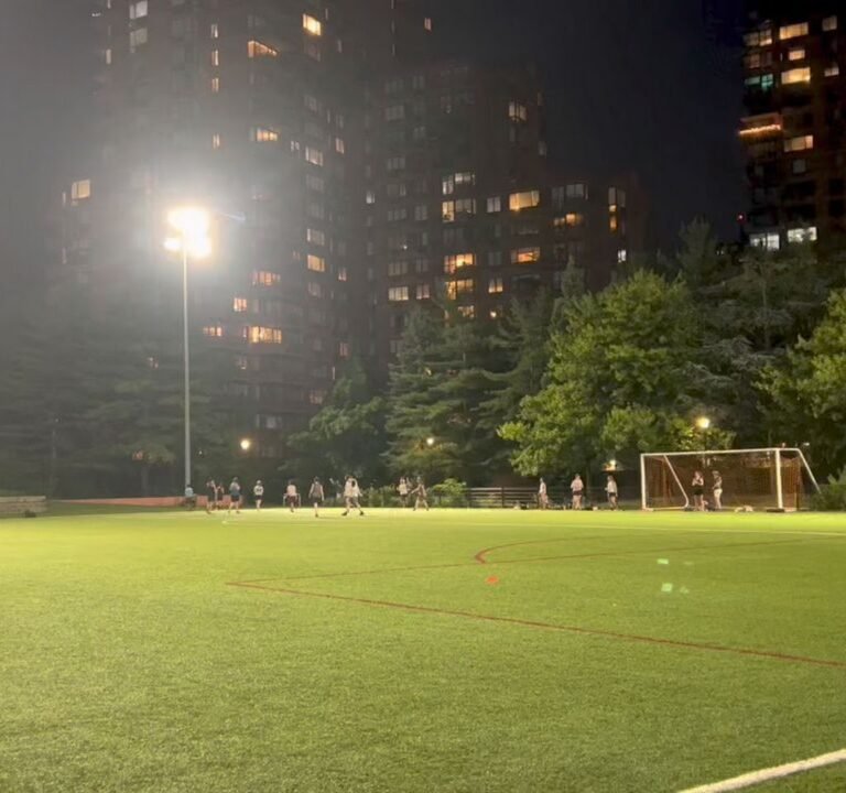 Soccer Field image 4