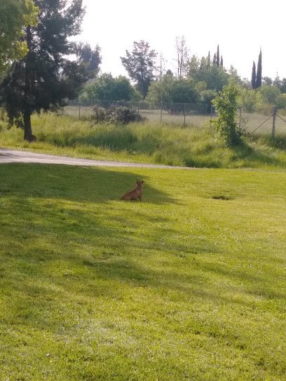 Soccer Field image 1