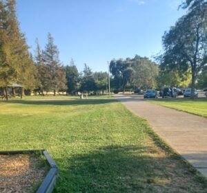 Soccer Field image 2