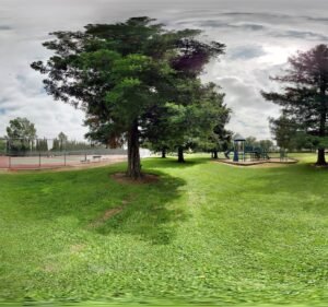 Soccer Field image 3