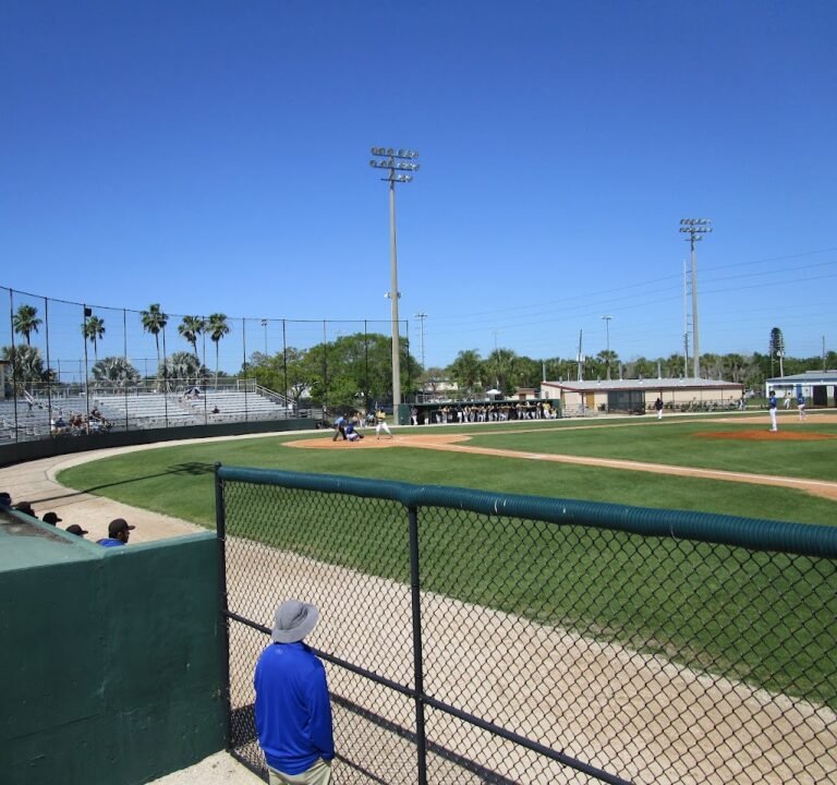 Soccer Field image 2