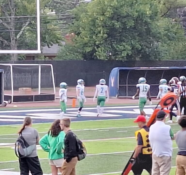 Soccer Field image 3