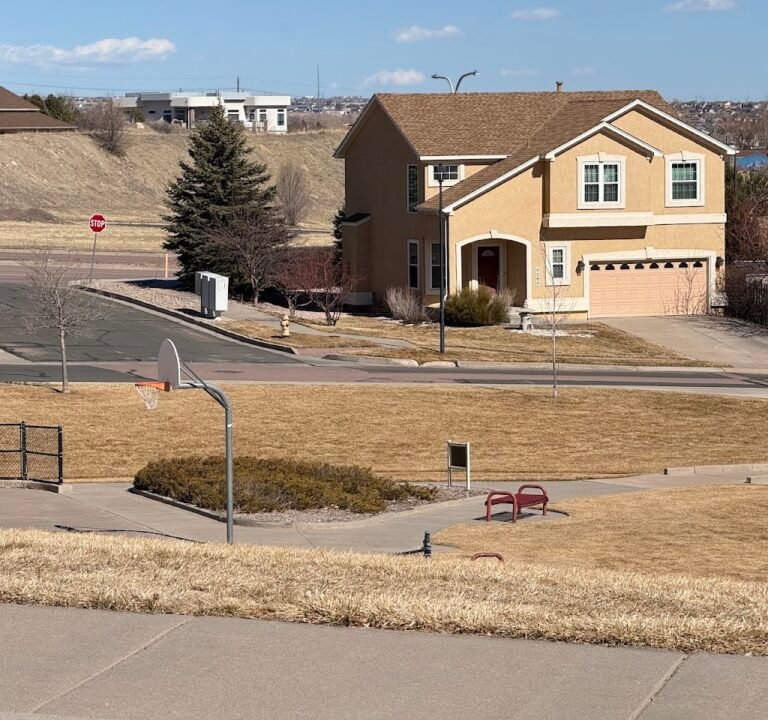 Soccer Field image 2