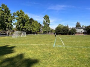 Soccer Field image 1