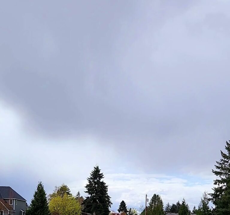 Soccer Field image 4