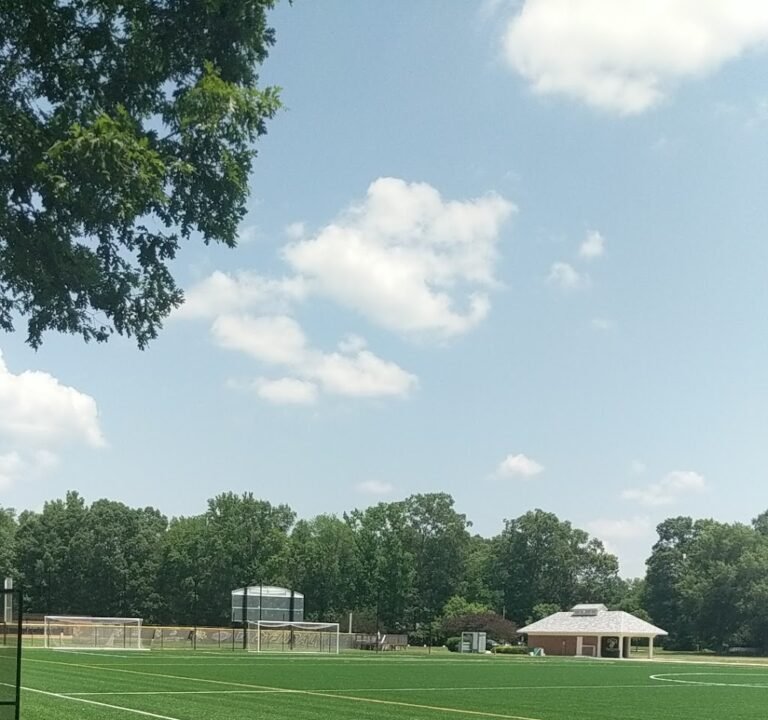 Soccer Field image 2