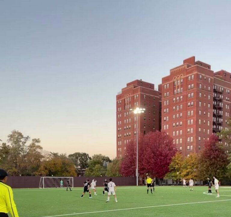 Soccer Field image 3