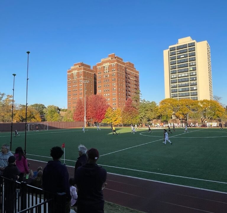 Soccer Field image 2