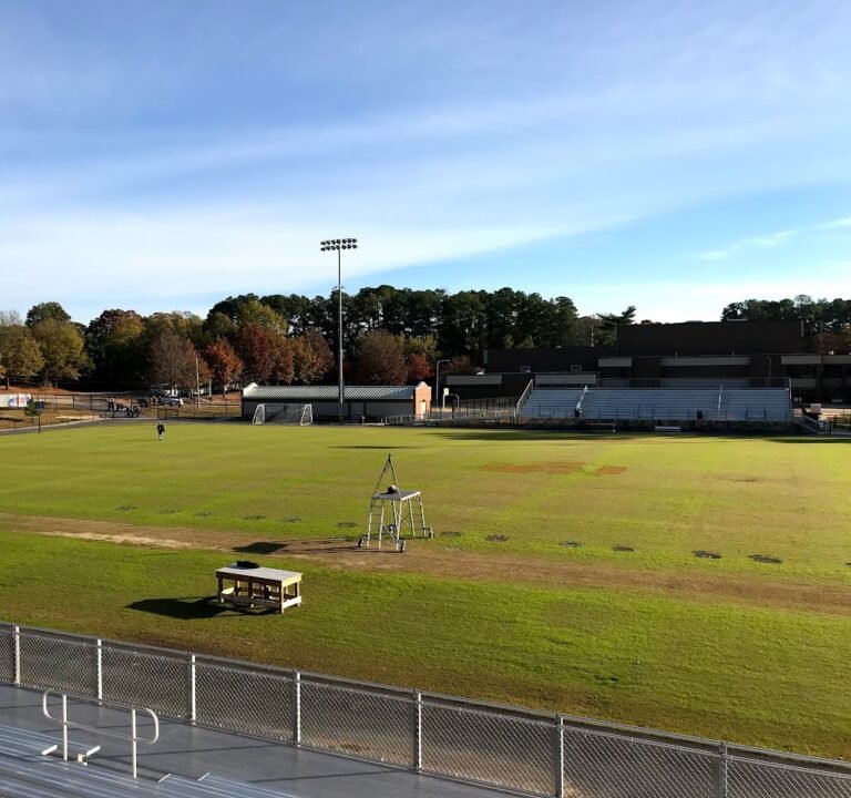 Soccer Field image 2