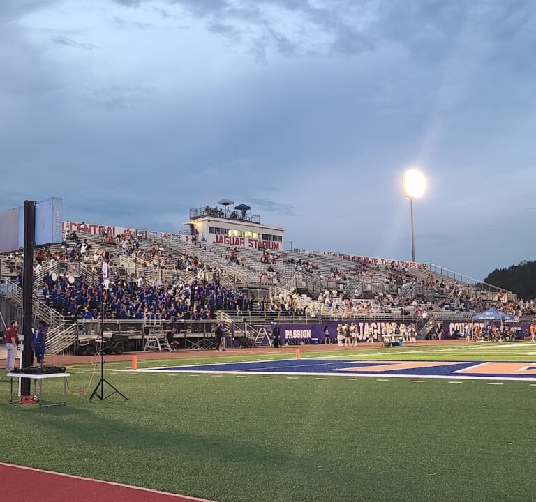 Soccer Field image 2